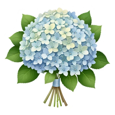 Bouquet of Pale milky hydrangeas sticker