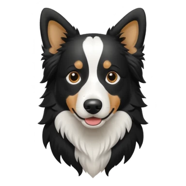 Bordercollie bianco e nero sticker