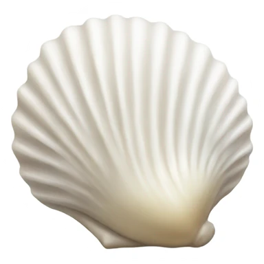 white seashell sticker