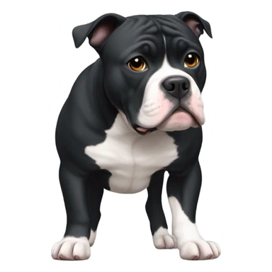 Black American Bully with a little bit of white sticker