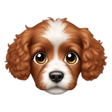 Cavapoo puppy with solid auburn hair color sticker