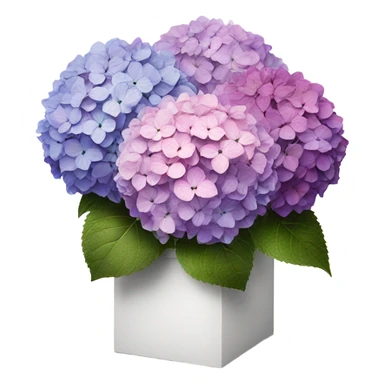 3 faded hydrangea's from pink to purple inside white box sticker