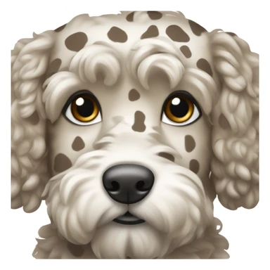 Light brown and grey spotted cockapoo  sticker