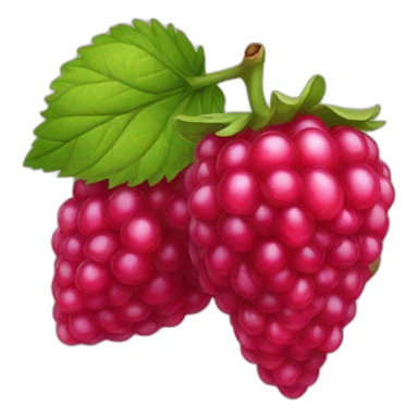 framboise fruit sticker