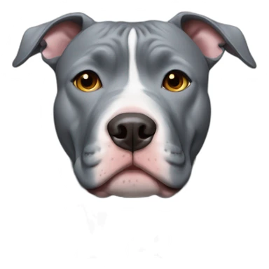 Blue nose grey pitbull with no ears sticker