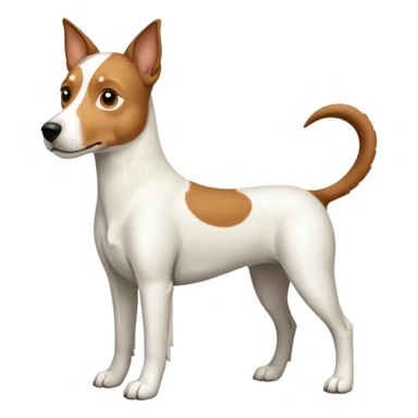 a full body large white parson russell looking dog the size of a kelpie with light brown ears and a light brown patch on one eye and a large snout sticker