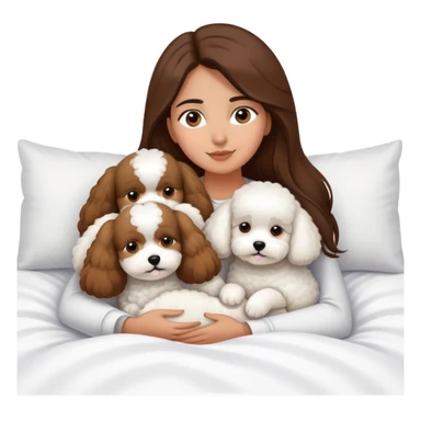 Olive skin girl with long brown hair in bed with 3 white bichon frise's sticker