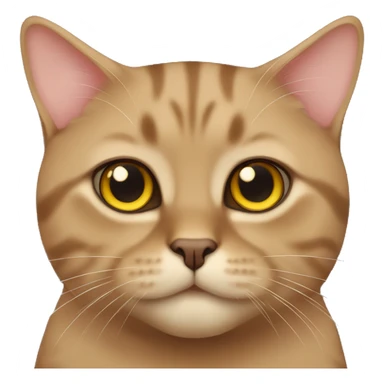 British brown cat sticker