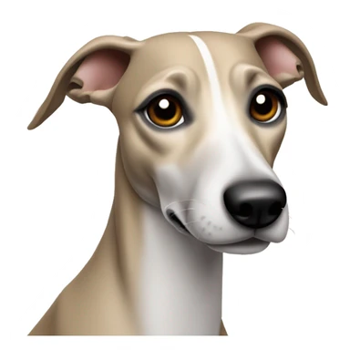 Whippet dog with ear slicked back sticker