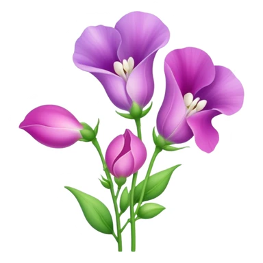 Sweet pea sticker