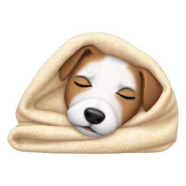 jack russel terrier sleeping cozy in blanket  sticker