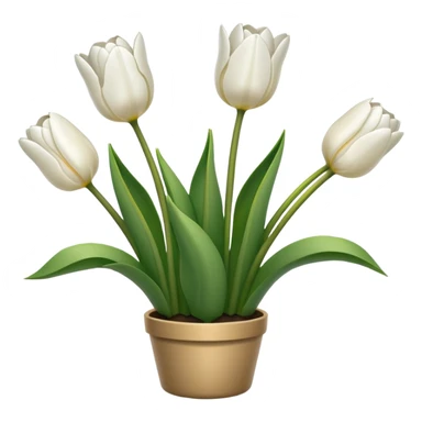 White tulips sticker