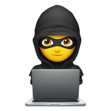 Ninja with a laptop sticker