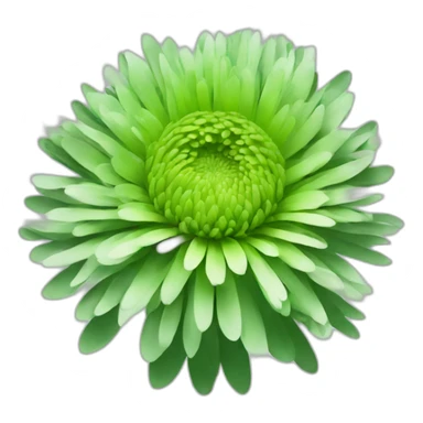 Green chrysanthemum sticker
