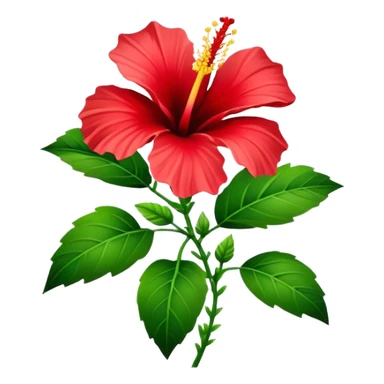 Hibicus red flower sticker