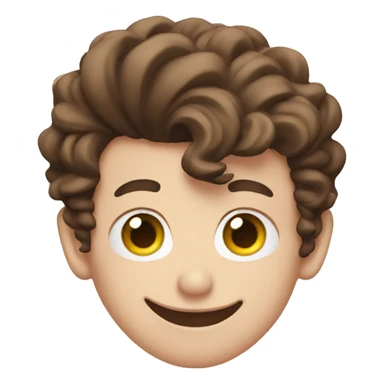 Shawn Mendes sticker