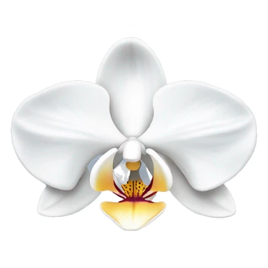 White orchid  sticker