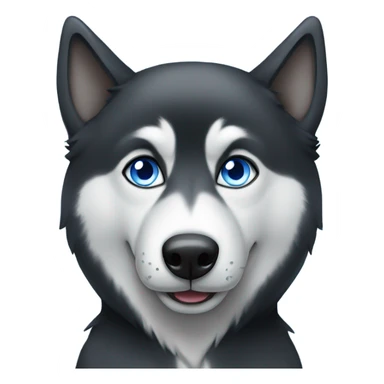 Black husky with one blue eye sticker