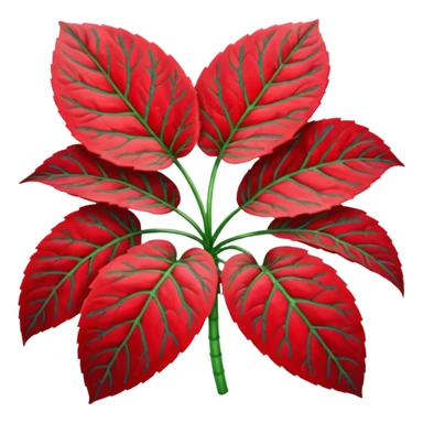 FITTONIA rossa sticker