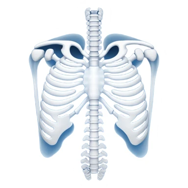 ribs that is in an xray format make it blue and white sticker