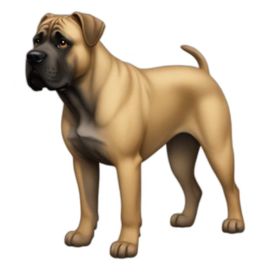 dog Cane Corso color fawn full body sticker