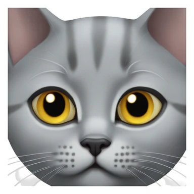 British shorthair cat grey sticker