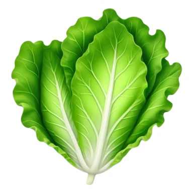 single lettuce leaf on a plate sticker