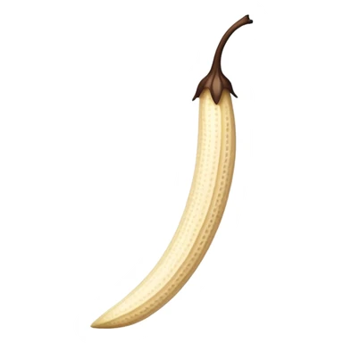 gousse de vanille sticker