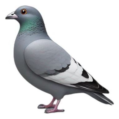 FAT FAT FAT PIGEON sticker