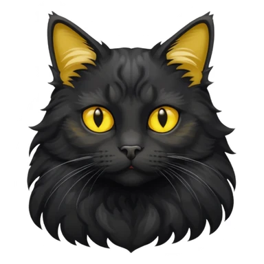 maincoon black cat with yellow eyes sticker