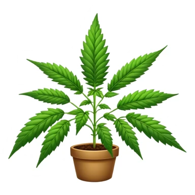 Marijuana plant sticker