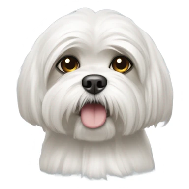 Lhasa Apso branco sticker