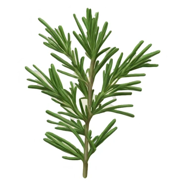 Rosemary sticker