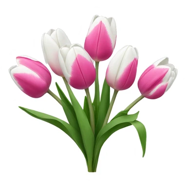 Pink and white tulips  sticker