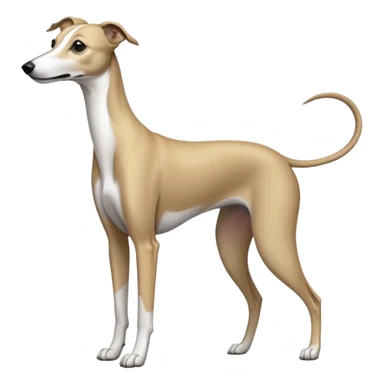 whippet  sticker