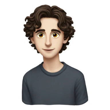 Timothee chalamet sticker