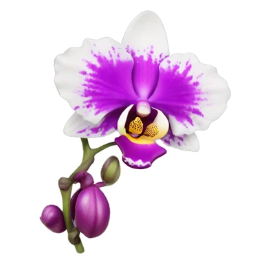 orchid flower sticker