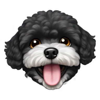 Black maltipoo dog laughing sticker
