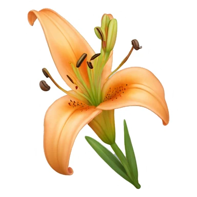 light orange lilium sticker