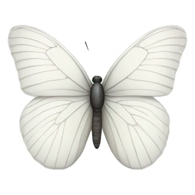 White butterfly  sticker