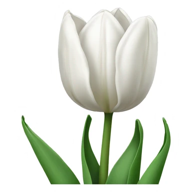 Weiße Tulpen  sticker