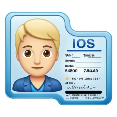 Patente di guida sticker