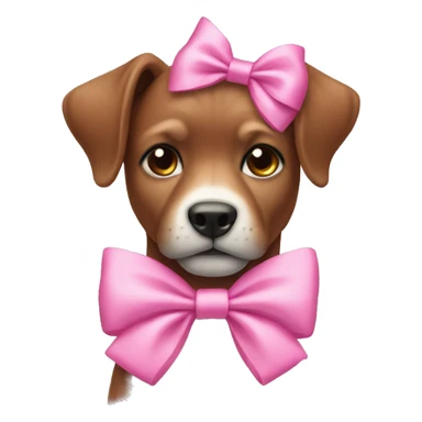 Kola wearing a pink bow sticker