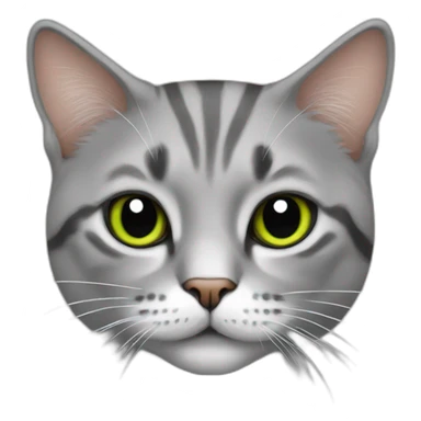 Cat whit algeria t shirt sticker