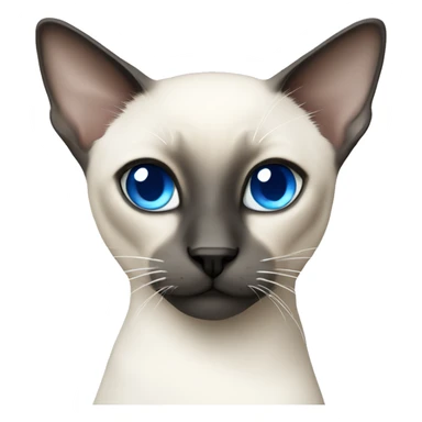 White Siamese with blue eyes sticker