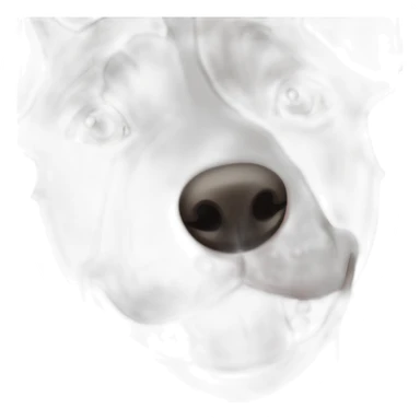 Brindle bullterrier just the face dark hair on right closer to eye sticker