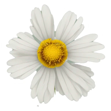 coreopsis flower sticker