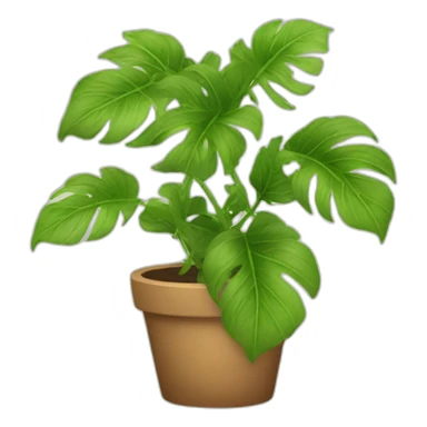 plants sticker