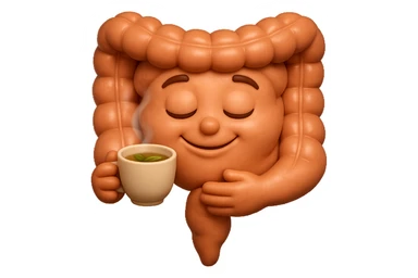 emoji stile iphone 3d di intestino umano sereno che si tocca la pancia mentre sorseggia un thè alle erbe, iperrealistico 4k sticker