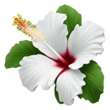 White hibiscus flower sticker